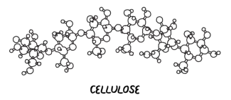 Cellulose