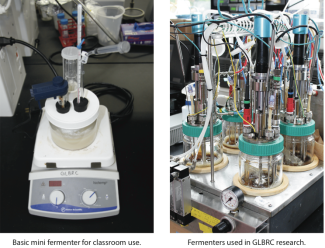 Mini Fermenter