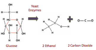 cellulosic ethanol