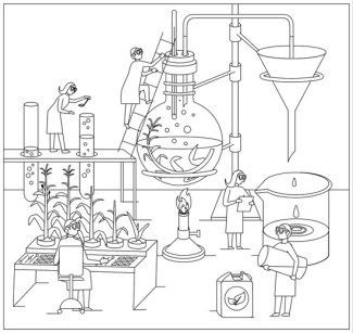 Biofuels scientists at work