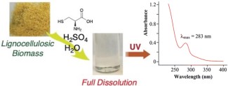 Graphic of the process and chemicals used in the new CASA lignin method.