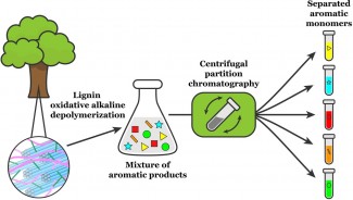 An illustration depicting the deconstruction and separation of a tree into lignin aromatics