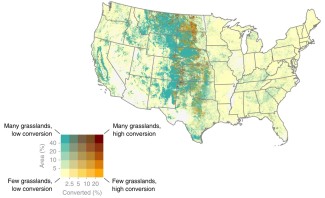 A figure of the U.S. depicting the net cropland conversion