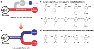 A figure depicting two types of biomass deconstruction and the lignin monomer products