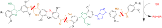 graphic of molecular structure of lignin polymer