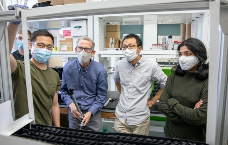 Four people in masks look into a rectangular metal frame in a lab