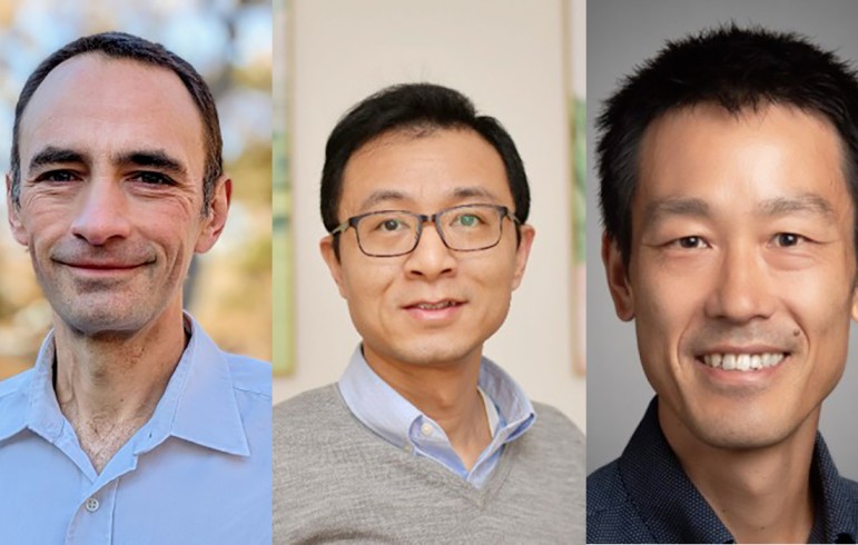 Jean-Michel Ane, Bu Wang, and Hiroshi Maeda