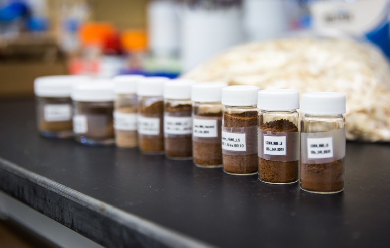 A row of labeled glass vials containing brown lignin powder samples of varying darkness arranged in sequence on a laboratory benchtop, with biomass feedstock material visible in the background.
