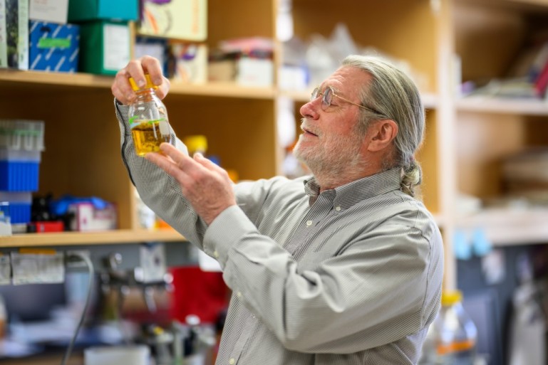 A man in a laboratory looks at a flask of amber liquid held in his hand