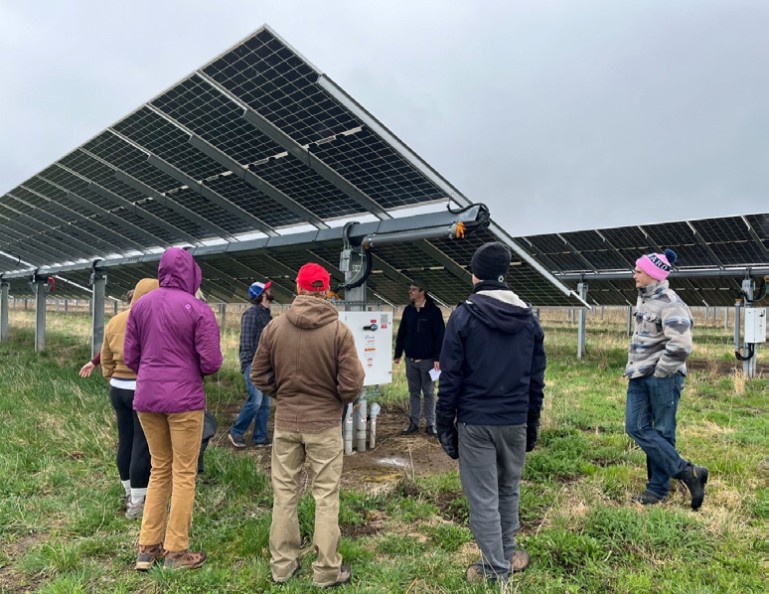 A group of people with their backs to the camera inspect the underside of a row of solar panels that stretches to the horizon. They are standing in green grass and the sky is overcast.