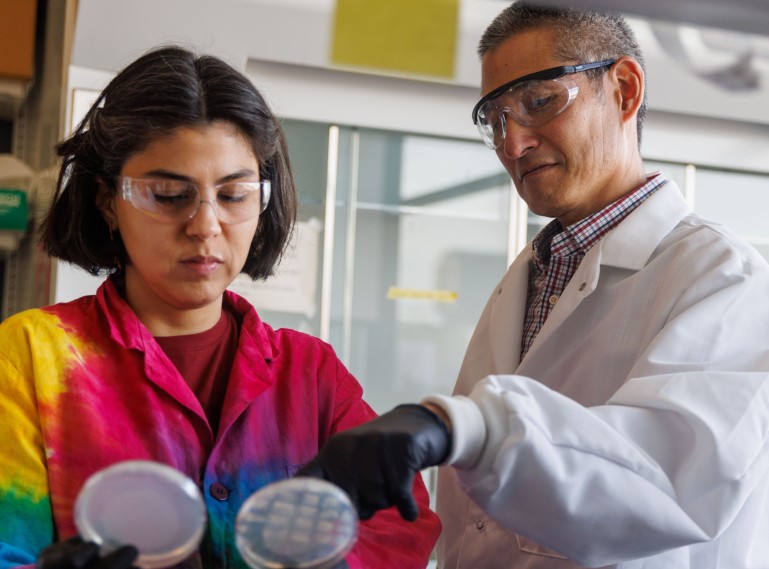Two researchers wearing safety glasses examine colony plates, with one pointing to colony growth on a gridded agar plate held by the other.
