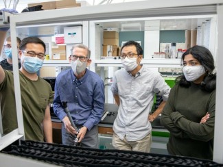 Four people in masks look into a rectangular metal frame in a lab