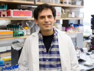 Man in blue checked shirt and white lab coat standing in front of a lab bench