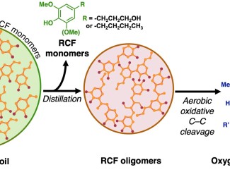 flow chart illustrating the conversion of poplar or pine biomass into value-added products. The process begins with reductive catalytic fractionation of the biomass to produce RCF lignin oil, separating out cellulosic pulp. The oil undergoes distillation to remove monomers, leaving RCF oligomers. These oligomers are then processed through aerobic oxidative C-C cleavage to create oxygenated monomers. Finally, bioconversion turns these monomers into the final products: PDC or muconic acid
