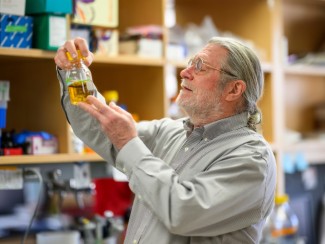 A man in a laboratory looks at a flask of amber liquid held in his hand