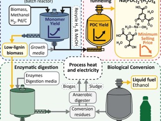 Schematic of a three-part biorefinery process. The blue Reductive Catalytic Fractionation section treats biomass to separate low-lignin biomass solids from a liquid stream, with a graph showing increasing monomer yield. The red Biological funneling section converts the liquid stream into a PDC chemical product, with graphs showing increasing yield and decreasing minimum selling price. The green section processes the low-lignin biomass through enzymatic digestion and biological conversion to produce liquid e