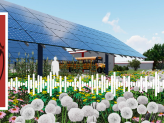 Watt's Up, Wisconsin Logo with a graphic rendering of a solar panel field with wildflower and sillouhettes of people underneath.