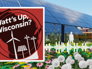 Watt's Up, Wisconsin Logo with a graphic rendering of a solar panel field with wildflower and sillouhettes of people underneath.