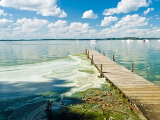 Lake Mendota with green algae blooms.