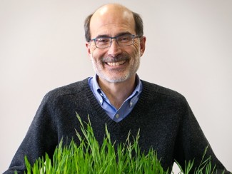 Man with glasses in a blue v-neck sweater pictured with a stand of green grass in front of his chest