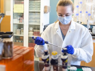 Graduate student Amy Enright pipettes in her lab. 