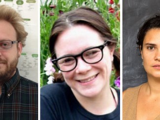 Audrey Gasch, Chris Hittinger, & Raluca Scarlat