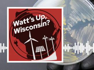 Watt's Up, Wisconsin? podcast Logo with petri dishes with smears of bacterial colonies on it.
