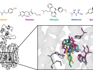 Chemical structures of five substrates — fenoterol, thiamine, diltiazem, metformin, and spironolactone — shown above a ribbon diagram of a multidrug efflux pump. Inset highlights overlapping docked poses of all five ligands (color-coded) within the transmembrane binding cavity.