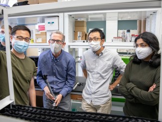Researchers examine equipment in laboratory