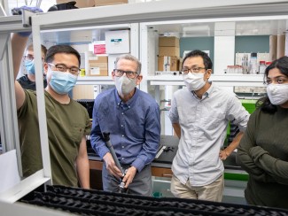 Researchers examine equipment in laboratory