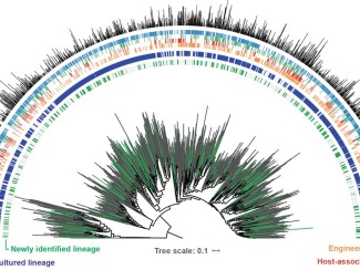 A phylogenetic tree depicting everything in the GEM catalog
