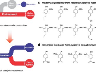 A figure depicting two types of biomass deconstruction and the lignin monomer products