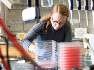 Woman with long reddish hair and glasses leans over a lab bench stacked with red plastic containers