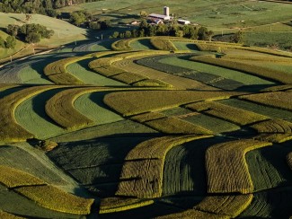 Managed cropping systems