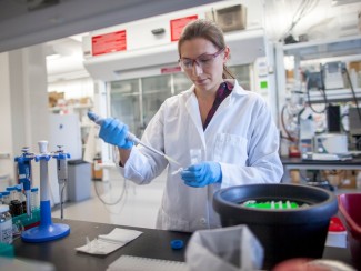 A researcher in a lab coat and glasses pipettes at lab bench
