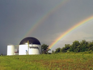 Jordan Dairy Farms