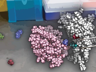 artwork depicting a researcher's gloved hand manipulating molecules with tweezers
