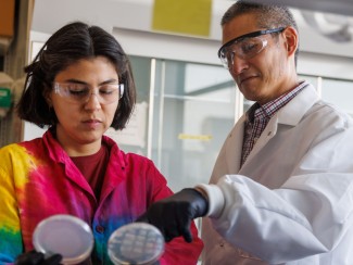 Two researchers wearing safety glasses examine colony plates, with one pointing to colony growth on a gridded agar plate held by the other.