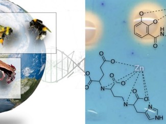 Cover art from two of the UW2020 funding proposals
