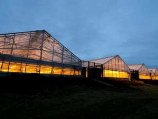 Greenhouses at night