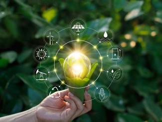 An illustration depicting a lightbulb running on bioenergy