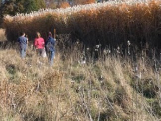 Zach Freedman and his students stand facing a row of crops.