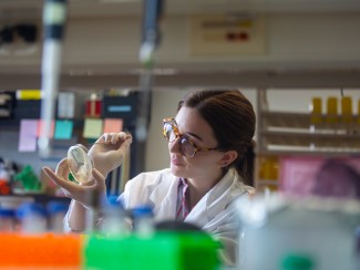 woman in lab coats examines petri dish