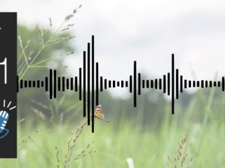 Energy 101 logo with sound bars superimposed on image of trees and grass