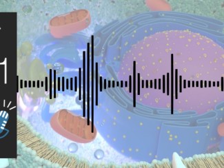 Energy 101 logo with sound bars superimposed on illustration showing cross-section of a cell