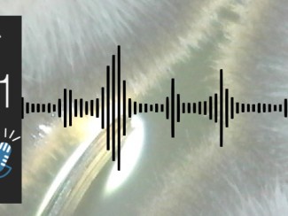 Energy 101 logo with sound bars superimposed on image of a yeast colony