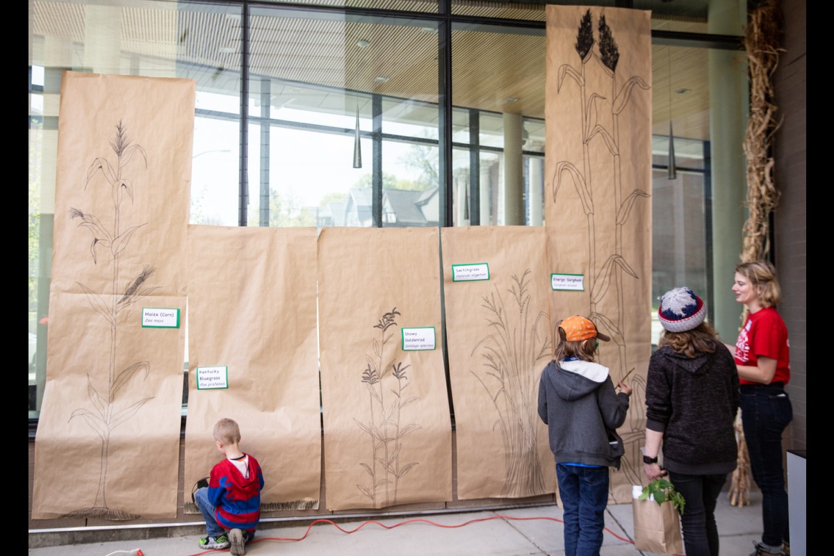 Visitors stand next to tall posters showing drawings of different plants. They match lengths of roots to the plant.