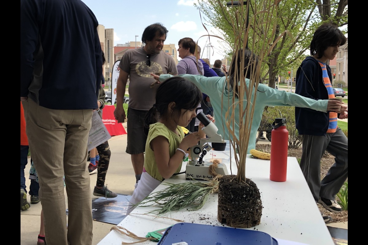 A child looks through a microscope to see plant roots up close.