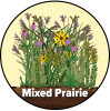 A drawing of a prairie