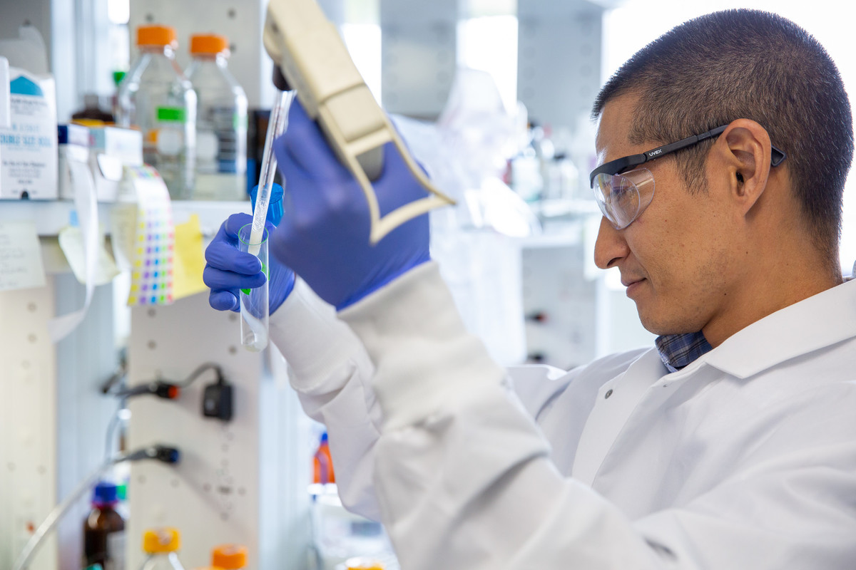 Man in white lab coat, blue rubber gloves, and safety glasses holding up a flask